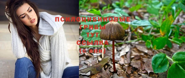 ешки Абаза