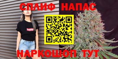 Альфа ПВП Аргун