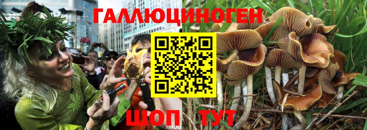 Галлюциногенные грибы мицелий  Вход с VPN  Владикавказ 